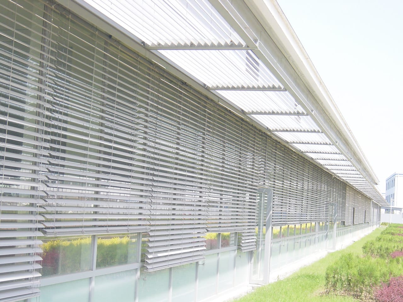 ����ϵ��