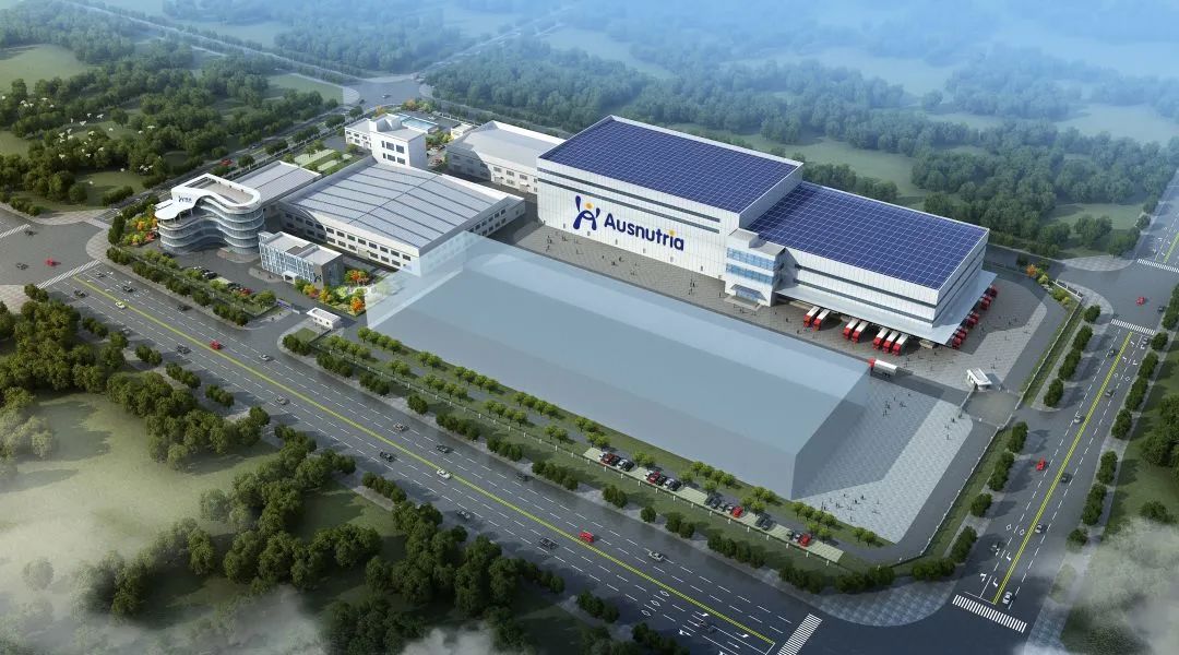 K8���� - ����Ӯ�ҡ�һ������